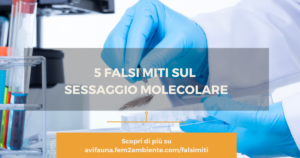 5 falsi miti sul sessaggio molecolare